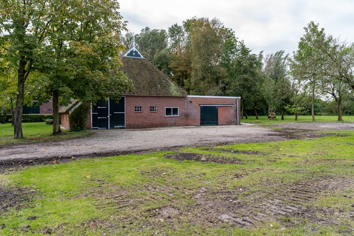 Photo 14 of De Trieme 26