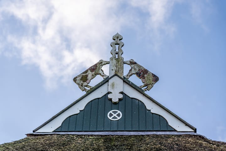 Photo 18 of De Trieme 26