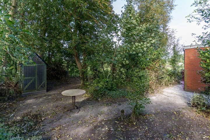 Photo 21 of De Trieme 26