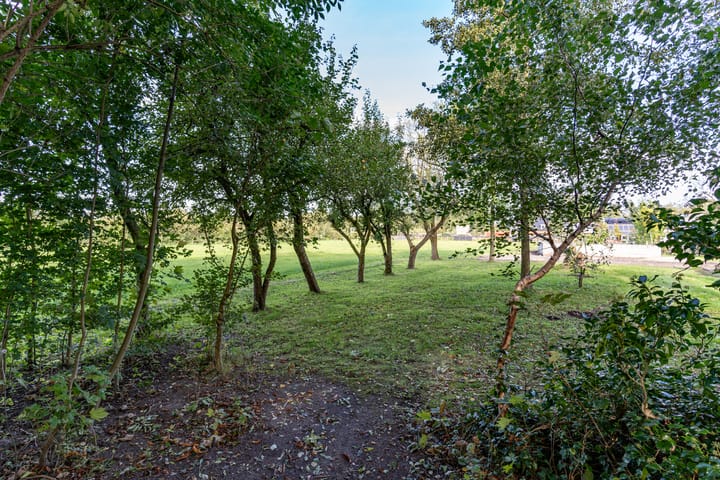 Photo 22 of De Trieme 26