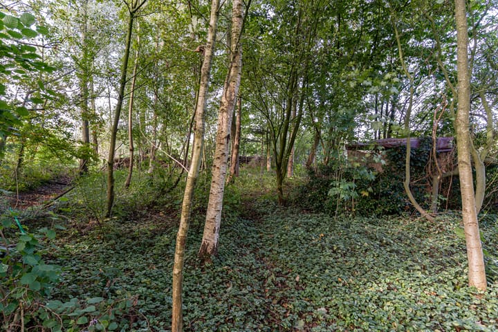 Photo 23 of De Trieme 26