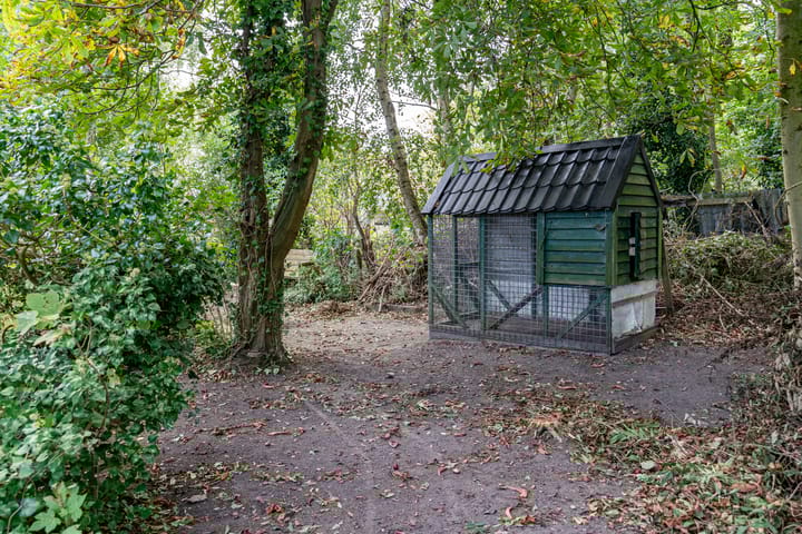 Photo 24 of De Trieme 26