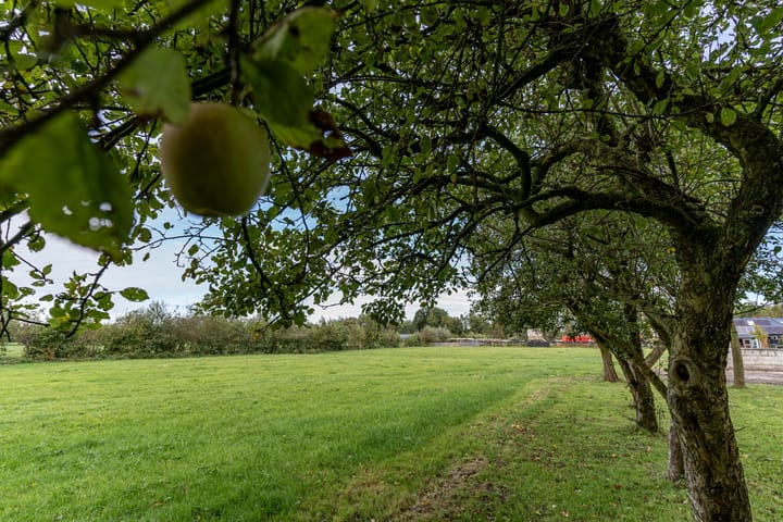 Photo 25 of De Trieme 26