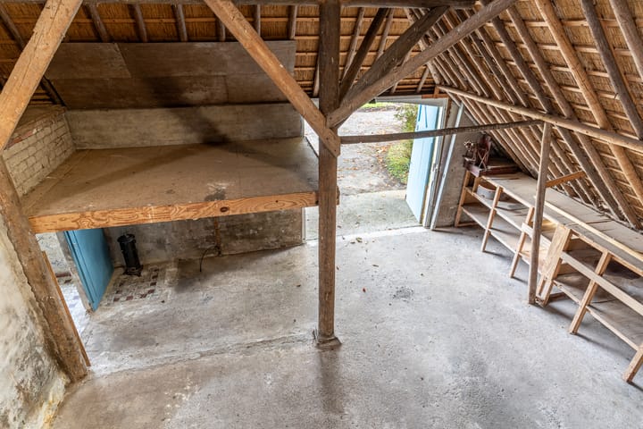 Photo 63 of De Trieme 26