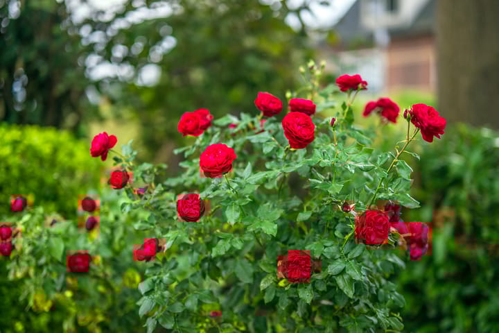 Photo 8 of Dorpsstraat 2