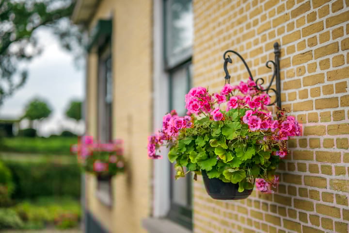 Photo 13 of Dorpsstraat 2