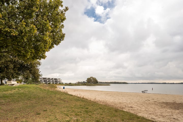 Foto 10 van Sterrekruid 101