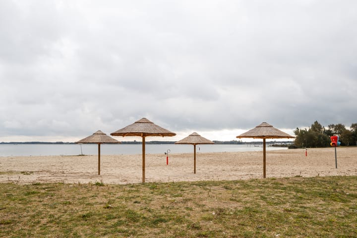 Foto 11 van Sterrekruid 101