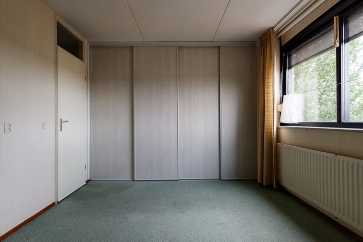 Foto 15 van Sterrekruid 101