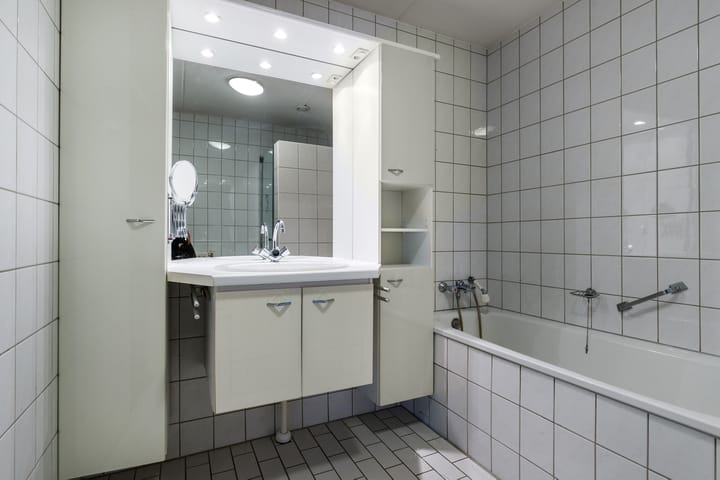 Foto 17 van Sterrekruid 101