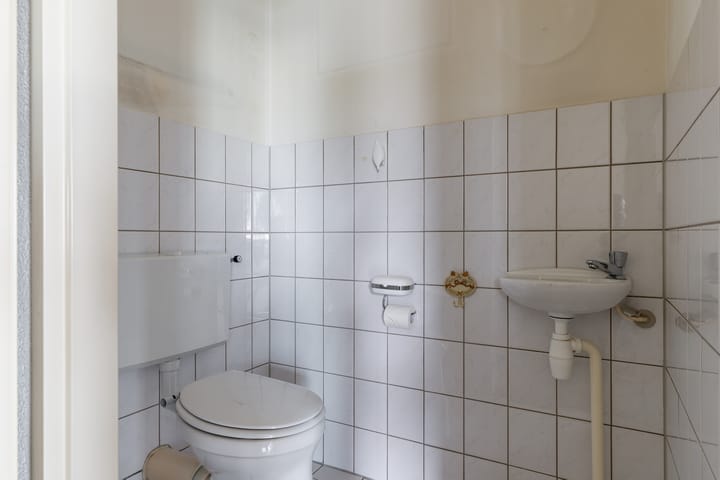 Foto 19 van Sterrekruid 101