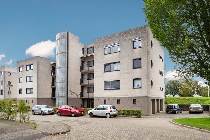 Foto 21 van Sterrekruid 101