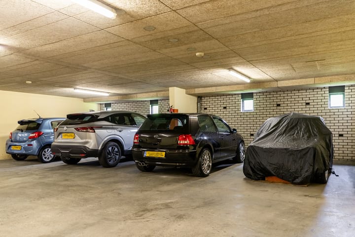 Foto 20 van Sterrekruid 101