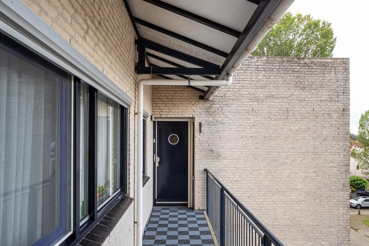 Foto 22 van Sterrekruid 101