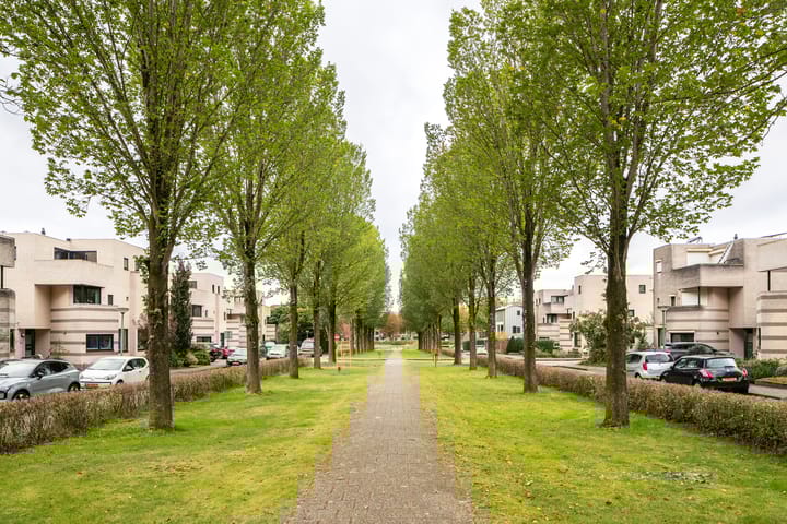 Foto 24 van Sterrekruid 101