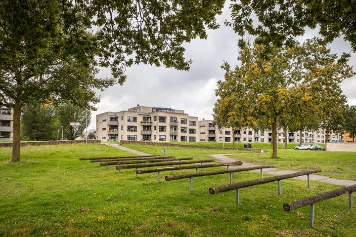 Foto 23 van Sterrekruid 101