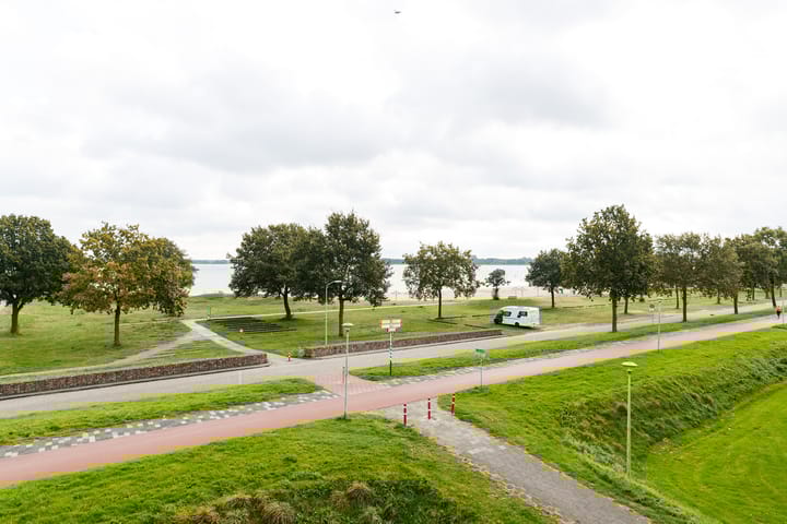 Foto 25 van Sterrekruid 101