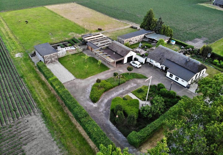 Foto 3 van Lieving 52