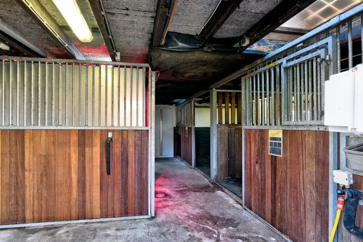 Foto 59 van Lieving 52