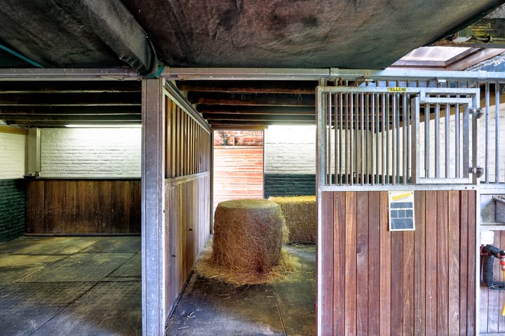 Foto 60 van Lieving 52