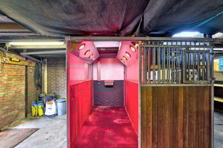 Foto 61 van Lieving 52