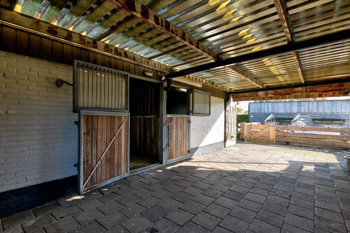 Foto 63 van Lieving 52