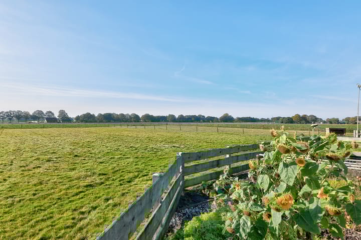 Foto 76 van Lieving 52