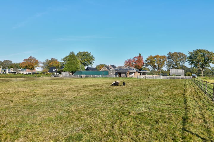 Foto 79 van Lieving 52