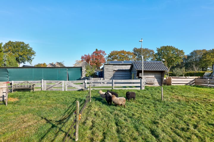 Foto 81 van Lieving 52