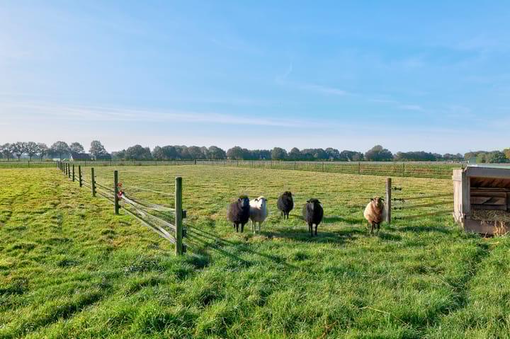 Foto 78 van Lieving 52