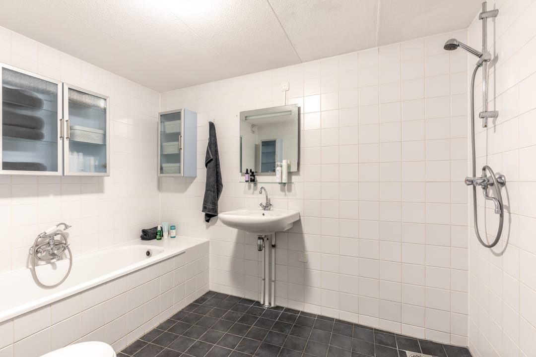 Foto 37 van Bertus Aafjeshof 154