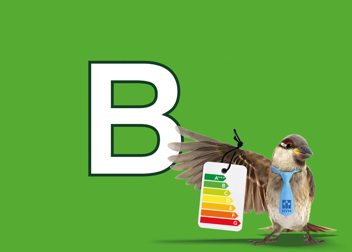 Foto 55 van Bertus Aafjeshof 154