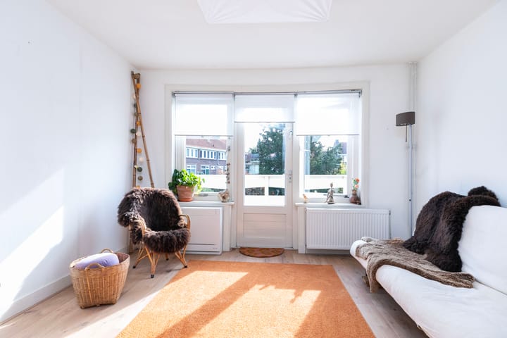 Foto 31 van Johan de Wittlaan 46