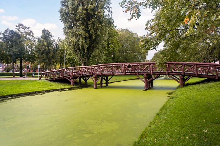 Foto 37 van Schietbaanlaan 91-B