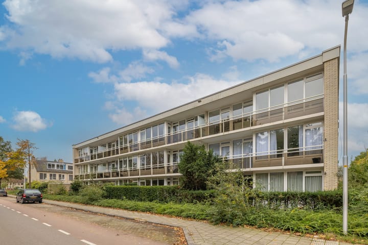 Foto 3 van Damhertlaan 165