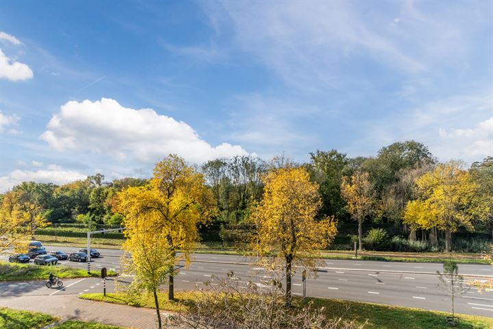 Bekijk foto 32 van Geldropseweg 234