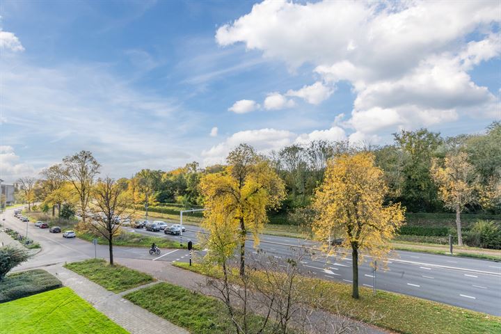 Bekijk foto 33 van Geldropseweg 234