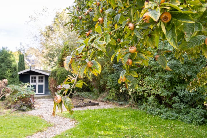 Foto 71 van Waaldijk 137