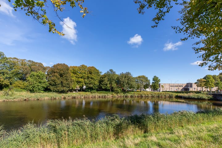 Foto 4 van Langevielesingel 84