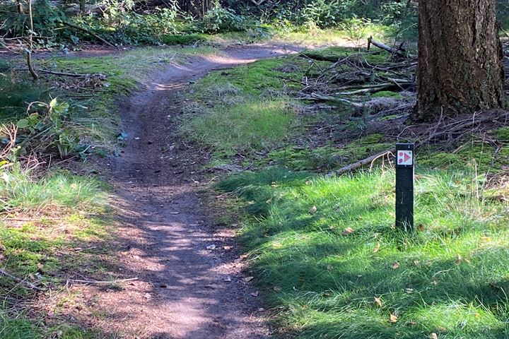 Bekijk foto 42 van Hazenputten 17