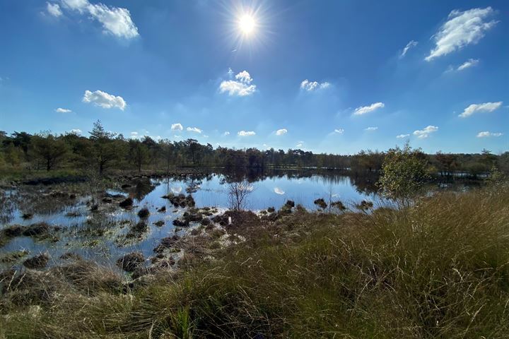 Bekijk foto 43 van Hazenputten 17