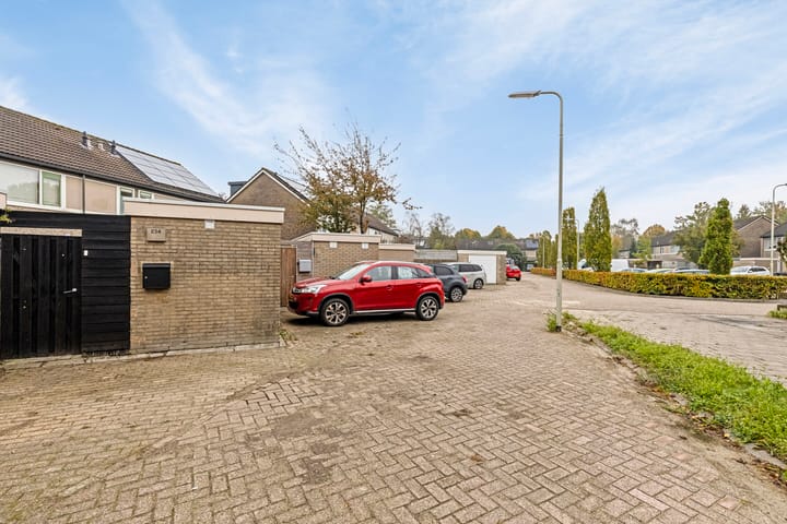 Foto 4 van Elisadonk 234