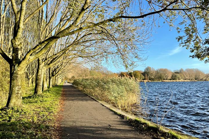 View photo 27 of Briljantstraat 296