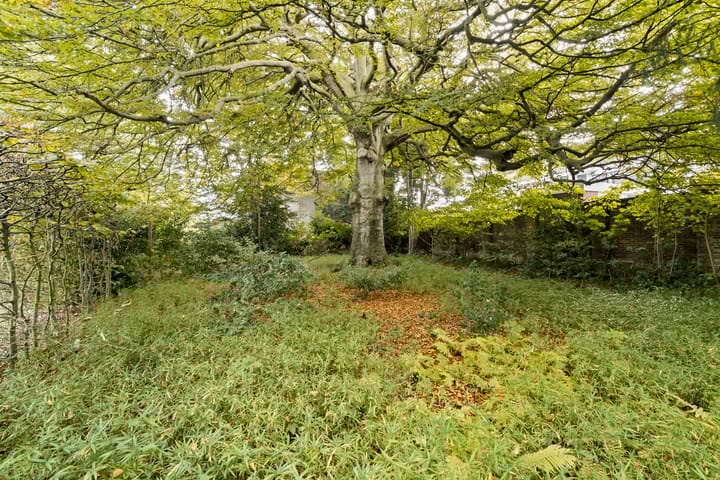 Foto 65 van Lindenplein 1