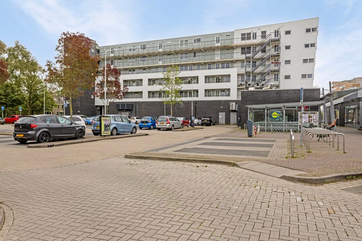 Foto 1 van De Spinne 113