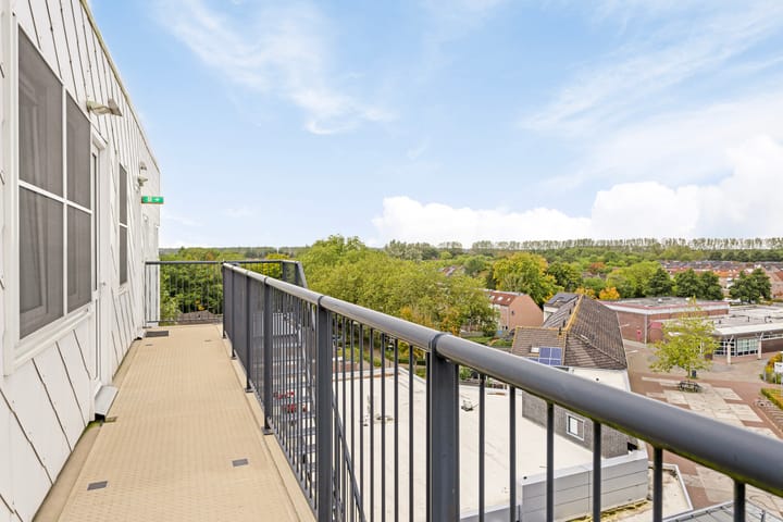 Foto 2 van De Spinne 113