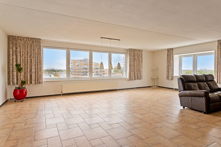 Foto 3 van De Spinne 113