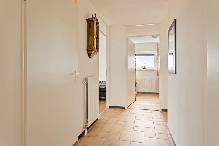 Foto 8 van De Spinne 113