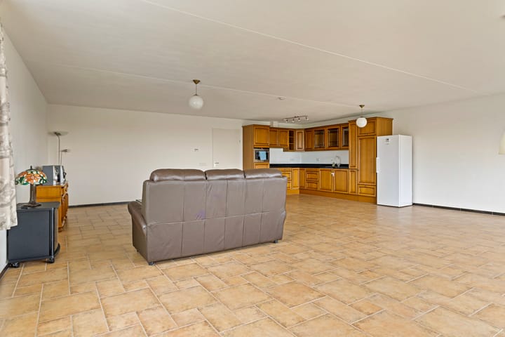 Foto 11 van De Spinne 113