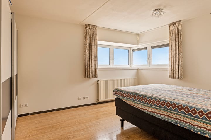 Foto 12 van De Spinne 113